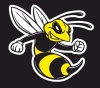Wasp 