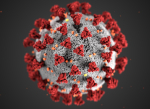Koronavirus sázení